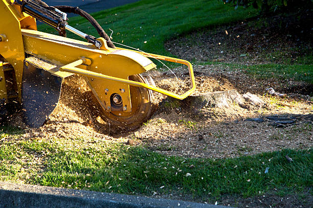 Mulching Services